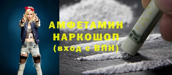 индика Ессентукская