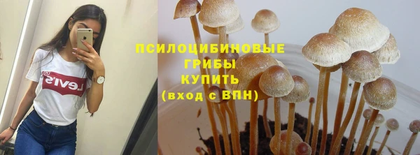 меф Киреевск