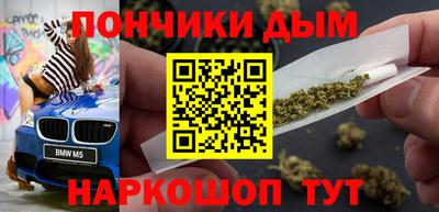 индика Обь