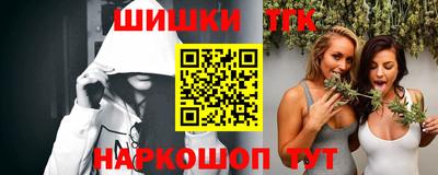индика Обь