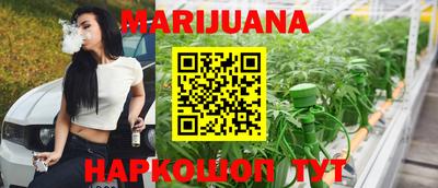 индика Обь
