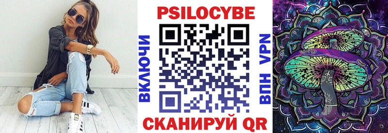Псилоцибиновые грибы Psilocybine cubensis Саратов