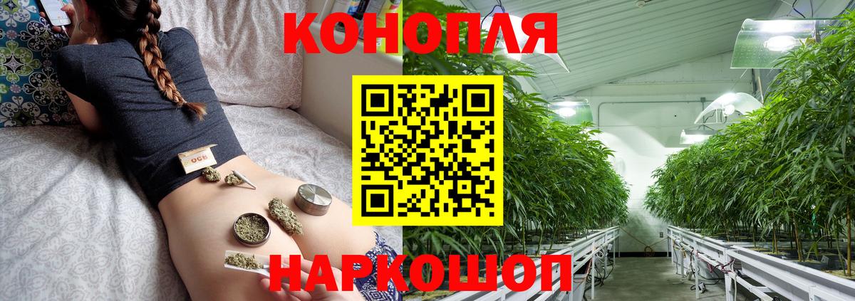 Конопля план Саратов